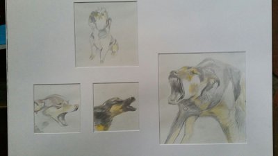 Blaffende honden bijten niet